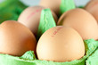 Eier aus Freilandhaltung Eier aus Freilandhaltung