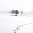 Winterimpression