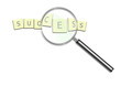 Lupa sobre la palabra Success