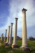 Ancient Romas site in Salamis