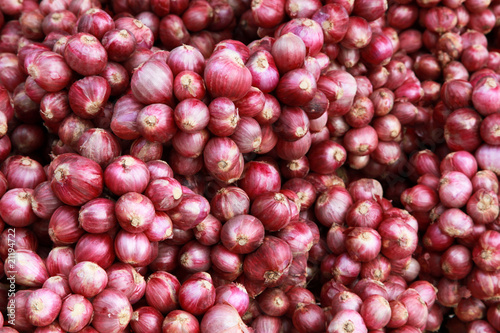 Photo: Lots Of Red Onion Bundles Lots Of Red Onion Bundles