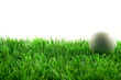 Golfball