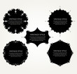 vector flower background