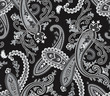 Vector. Seamless paisley background