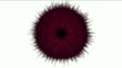 Rotating purple cells,plush velvet tentacles,def