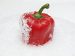 Pepper and snow