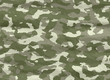 illustration of disruptive  camouflage material
