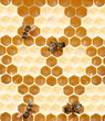 honey comb and a bee working