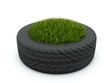 Tire with grass isolated on white Tire with grass isolated on white
