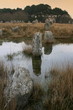alignements de menhirs à Carnac alignements de menhirs à Carnac
