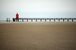 Faro