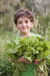 boy holding organic lettuce