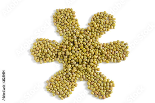 Photo: Flower made of mung beans.. Flower made of mung beans..
