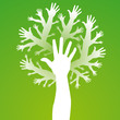 main arbre