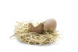 Easter egg