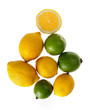 fresh lemons on a white background fresh lemons on a white background