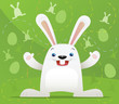 Ilustração vetorial : Easter Rabbit with green background Easter Rabbit with green background