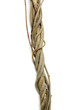 twisted roots twisted roots