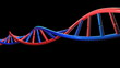 Video: DNA Animation HD DNA Animation HD