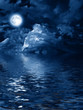 Photo: moon with nightly clouds over the water moon with nightly clouds over the water