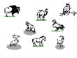 animals