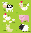 Animal and English