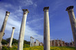 Ancient Roman site in Salamis