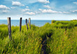 Weg zum Meer