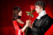 dracula gift