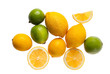 fresh lemons and limes on a white background fresh lemons and limes on a white background