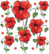 Vector: Poppies. Seamless background. Poppies. Seamless background.