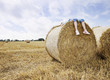 Girl laying on bale of hay