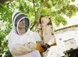 Beekeeper  holding bees and honeycomb