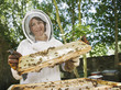 Beekeeper holding bees and honeycomb
