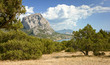 Crimea coast