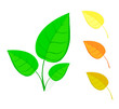 leafs