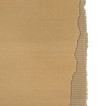 Piece of torn cardboard Piece of torn cardboard
