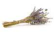 bouquet de lavande séchée sur fond blanc - Fleur Lavandula