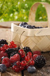 berries on a wooden table