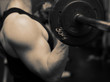 training barbell gym strength training barbell gym strength