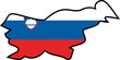 Slovénie géo
