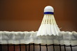 Badminton