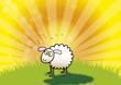 Spring Lamb