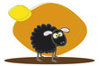 Black Sheep