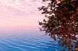 Maple and Sea
