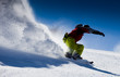 Skier