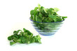 Feldsalat