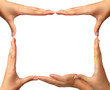 Conceptual Frame Conceptual Frame