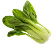 Shanghai Pok Choi