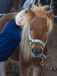 bambina che abbraccia un pony bambina che abbraccia un pony